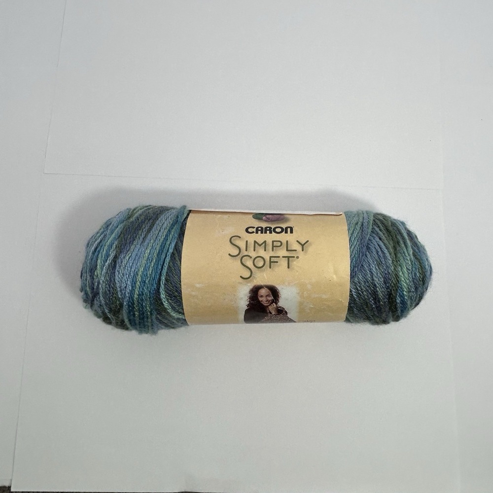 Caron Simply Soft Paints Spring Brook 0004 Yarn Variegated Green Plum 2013